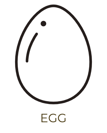 卵
